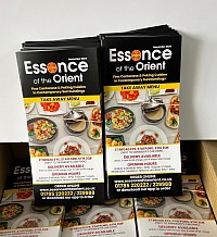 DL folded leaflets